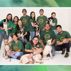 Village Pipol, PIPOL mgZn join forces with Philippine Animal Welfare Society (PAWS) PIPOL FI – PAWS Adoption and Spay Campaign