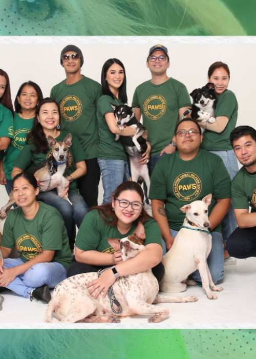 PIPOL FI - PAWS Adoption and Spay Campaign