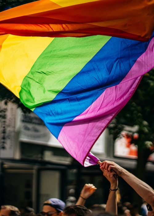 Crowd holding rainbow Pride flags during a daytime march.