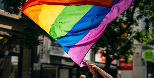 Crowd holding rainbow Pride flags during a daytime march.